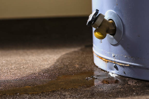 Best Water damage restoration near me  in Telford, TN