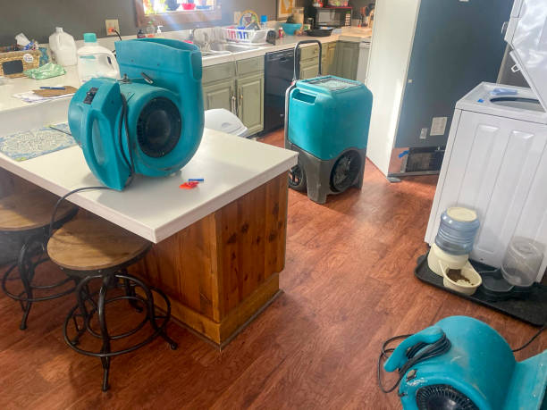Sewage cleanup and water damage restoration in TN