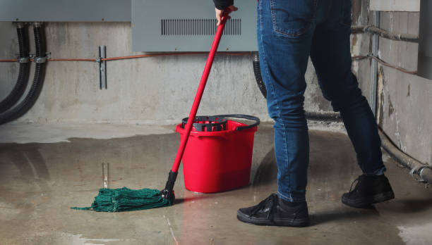 Best 24-hour water damage restoration  in Telford, TN