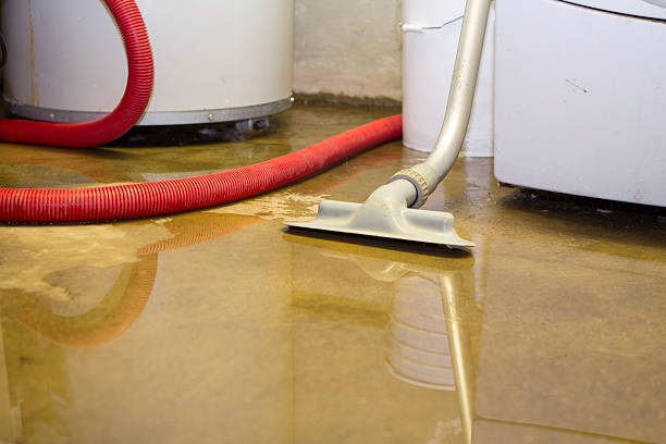 Best Water damage restoration near me  in Telford, TN