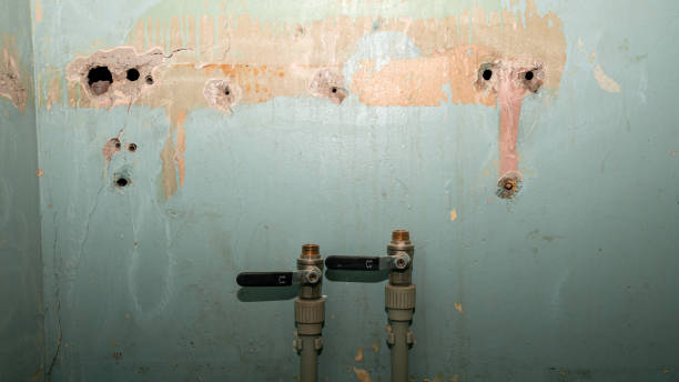 Best 24/7 water damage repair  in Telford, TN