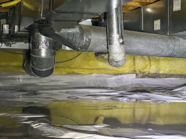 Best Water damage restoration process  in Telford, TN