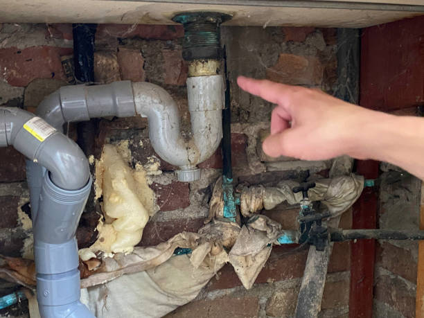 Best Flood damage cleanup  in Telford, TN