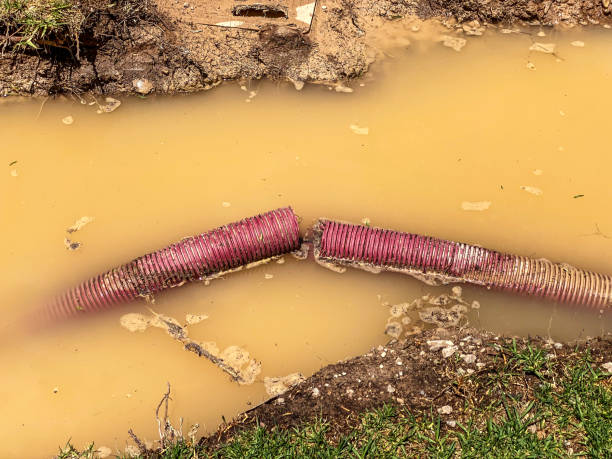 Best Emergency water damage restoration  in Telford, TN